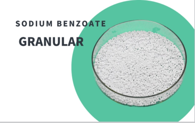Sodium Benzoate Granule